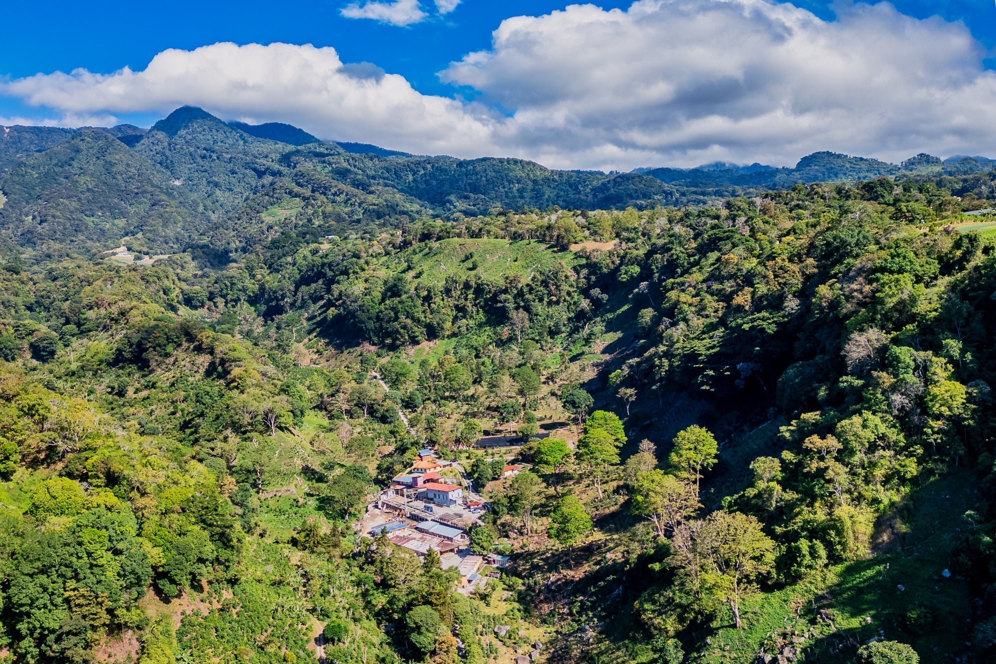 Finca Callejón Seco - naše kávová plantáž v Panamě