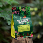 Panama Typica
