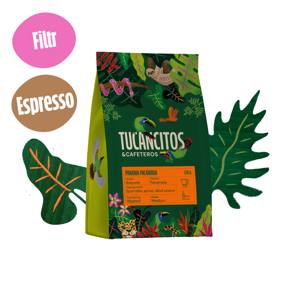 Panama Pacamara
