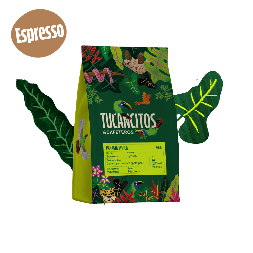 Panama Typica