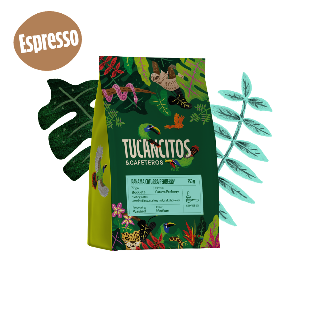 Panama Caturra Peaberry