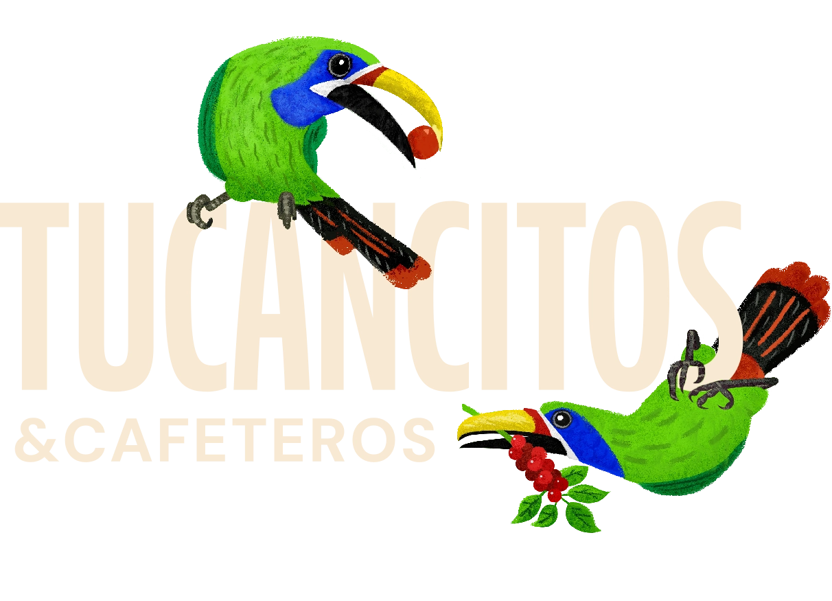 Tucancitos