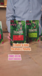 Panama Pacamara