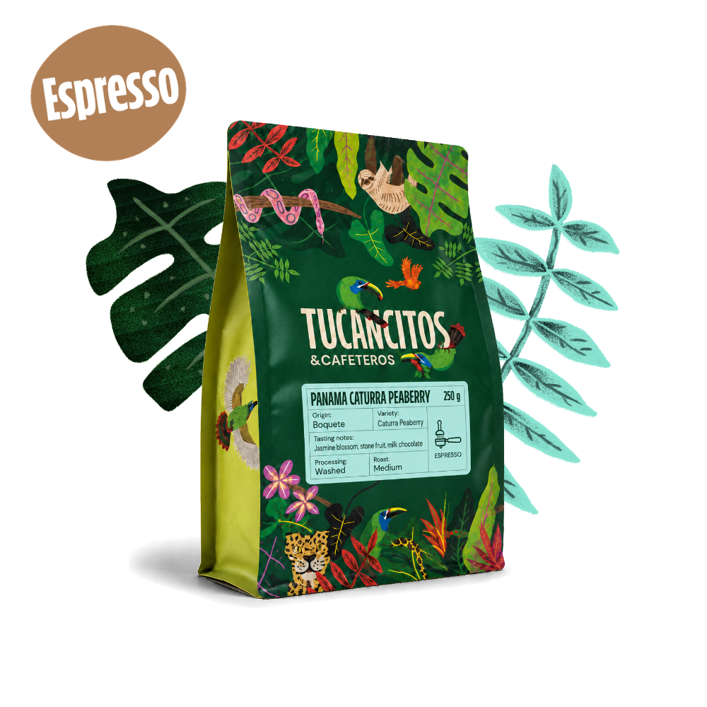 Panama Caturra Peaberry