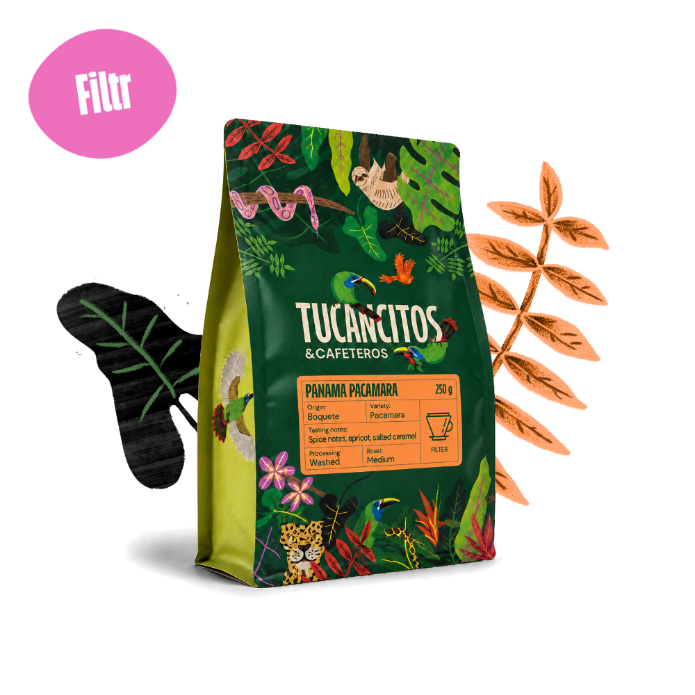 Panama Pacamara